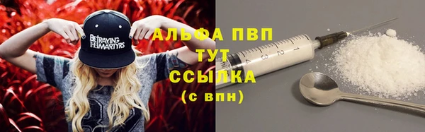 гашик Абаза