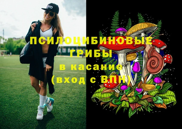 трава Абинск