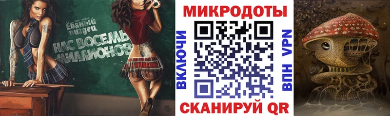 где можно купить наркотик  omg tor  Псилоцибиновые грибы Magic Shrooms  Судогда 